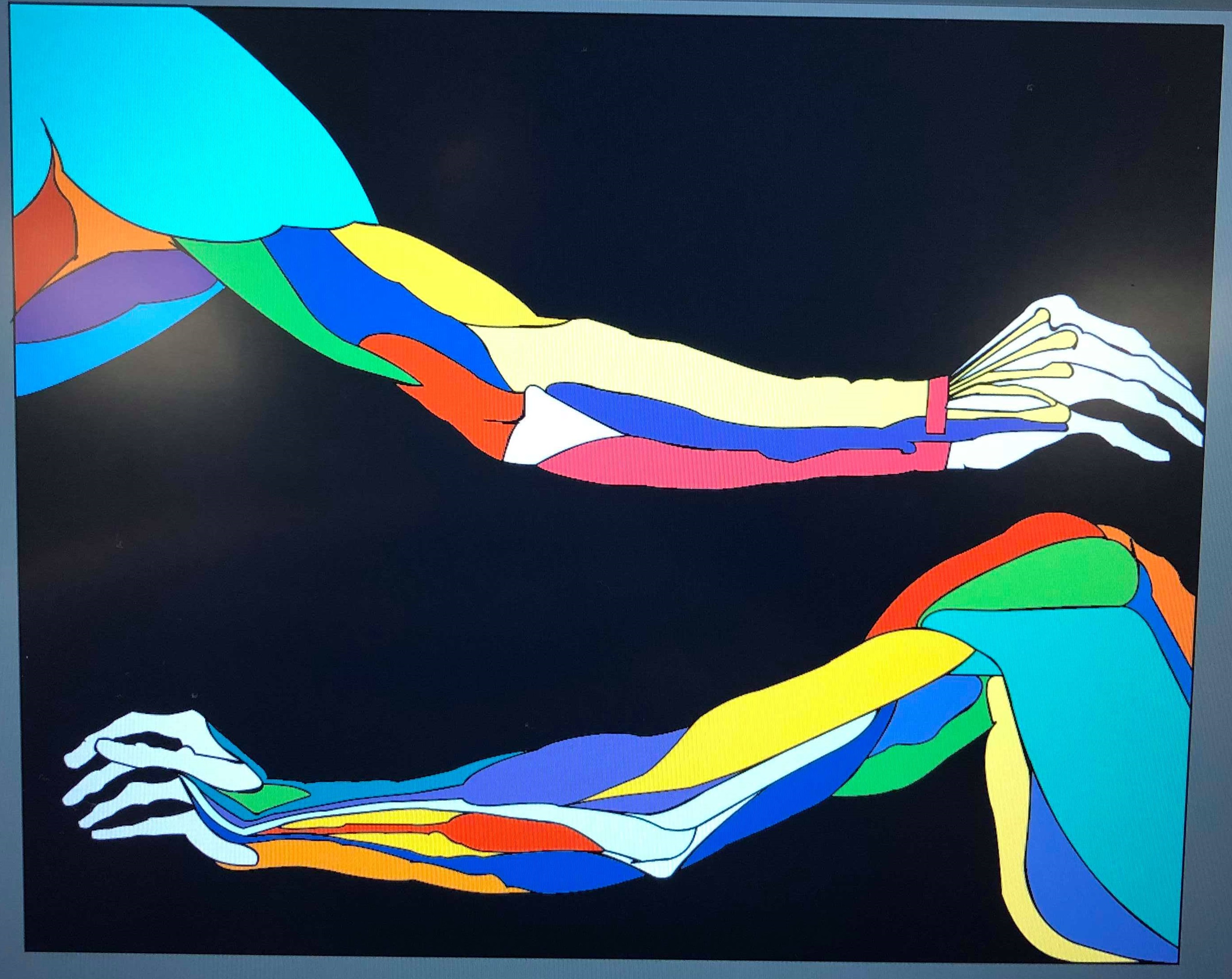 arms hands anatomy illustrator